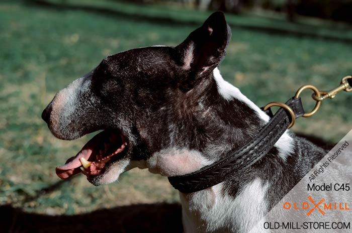 2ply Choke Dog Collar for English Bullterrier