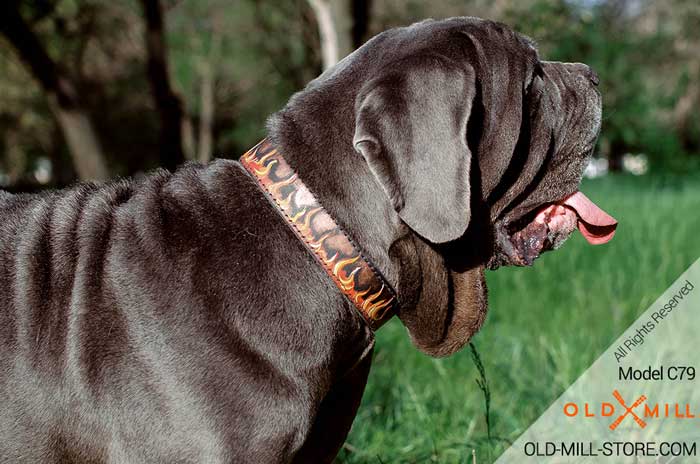 Handmade Leather Dog Collar for Mastiff