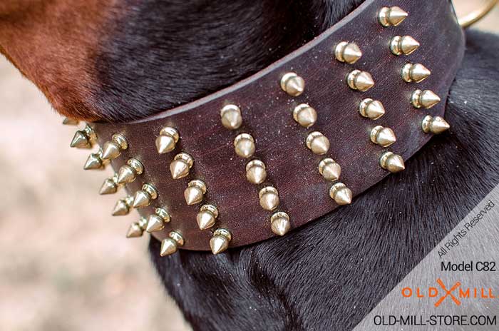 Buckle Collar with 5 Rows Gold-like Spikes and D-ring for Leash