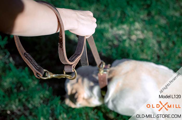 Multifunctional Leather Dog Leash
