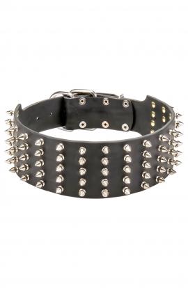 Wide Spiked Leather Dog Collar with 5 Rows of Spikes