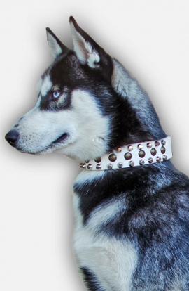 White Leather Dog Collar with 3 Rows of Pyramids and Studs