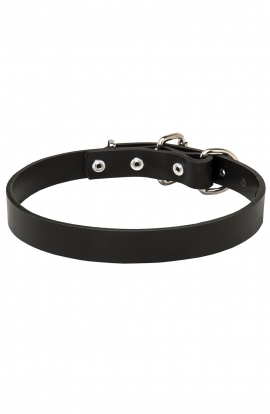 1 Inch Wide Dog Collar with Thick Heavy Smooth Leather