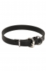 1 Inch Wide Dog Collar with Thick Heavy Smooth Leather