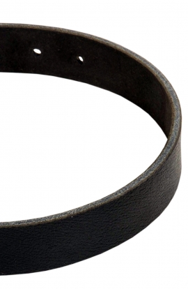 Wide Classical Smooth Leather Dog Collar