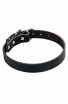 Wide Classical Smooth Leather Dog Collar
