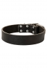 Wide Classic Collar for Large Dogs. Width - 1 1/2 inch (40 mm)