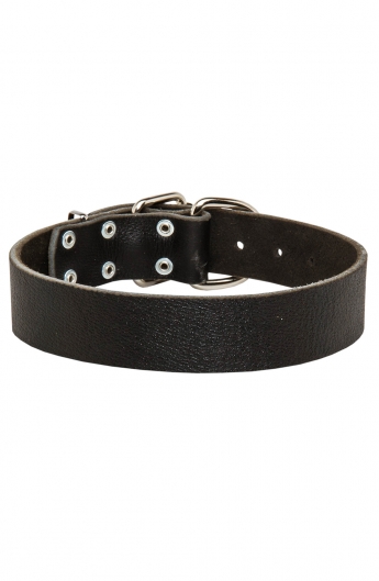 Wide Classic Collar for Large Dogs. Width - 1 1/2 inch (40 mm)