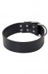 Extra Wide Leather Buckle Collar for Large Dog Breeds