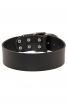 Extra Wide Leather Buckle Collar for Large Dog Breeds