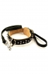 Set of Nappa Padded Collar with Silver-like Spikes and Braided Leather Leash with Stainless Steel Snap-hook