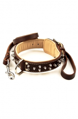 Set of Nappa Padded Collar with Silver-like Spikes and Braided Leather Leash with Stainless Steel Snap-hook