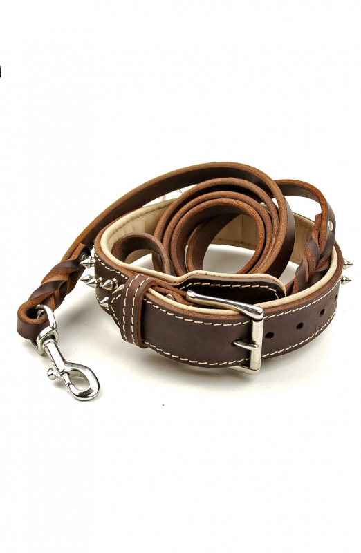 Spiked Leather Dog Collar and Braided Leash Set - Old Mill Store