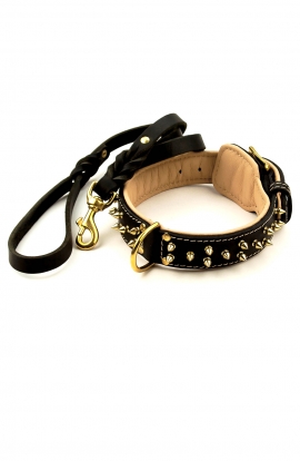 Spiked Leather Dog Collar and Braided Leash Set