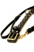 Spiked Leather Dog Collar and Braided Leash Set