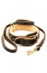 Spiked Leather Dog Collar and Braided Leash Set