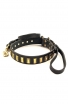 Designer Leather Dog Collar with Small Brass Plates and Leash with Braids