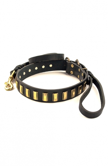 Designer Leather Dog Collar with Small Brass Plates and Leash with Braids
