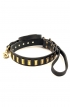 Designer Leather Dog Collar with Small Brass Plates and Leash with Braids