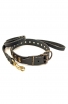 Designer Leather Dog Collar with Small Brass Plates and Leash with Braids