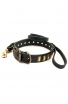 Designer Leather Dog Collar with Small Brass Plates and Leash with Braids