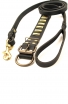 Designer Leather Dog Collar with Small Brass Plates and Leash with Braids