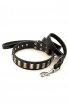 Elegant 1 1/2 inch Wide Leather Collar and Braided Leash with Stainless Steel Snap-hook. Save Money!