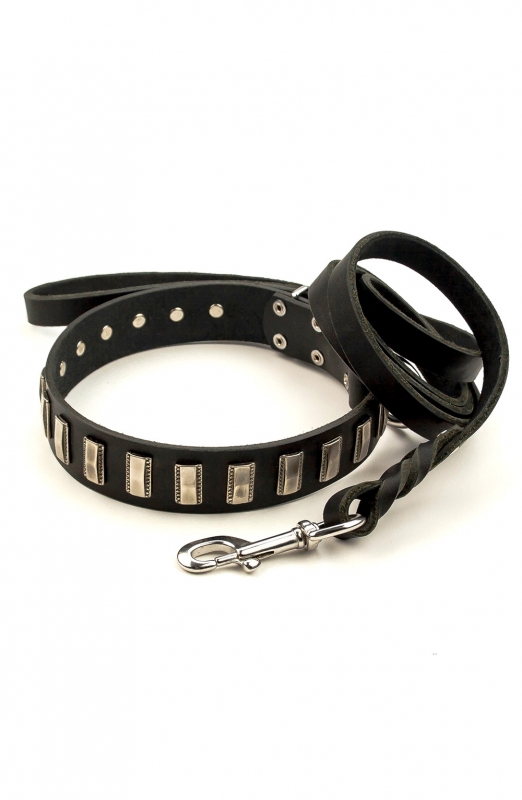 Spiked Leather Dog Collar and Braided Leash Set - Old Mill Store