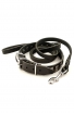 Elegant 1 1/2 inch Wide Leather Collar and Braided Leash with Stainless Steel Snap-hook. Save Money!