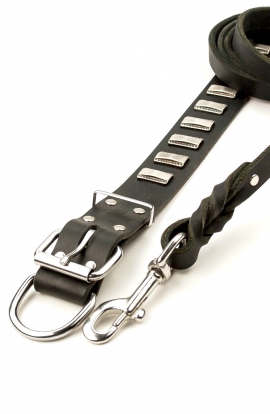 Elegant 1 1/2 inch Wide Leather Collar and Braided Leash with Stainless Steel Snap-hook. Save Money!