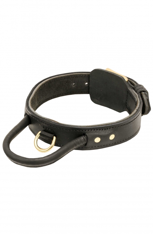 Buy 2ply Leather Dog Collar with Handle for American Bulldog