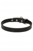 Amstaff Collar with Thick Heavy Smooth Leather. 1 Inch wide 