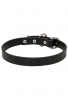 Amstaff Collar with Thick Heavy Smooth Leather. 1 Inch wide 