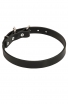 Amstaff Collar with Thick Heavy Smooth Leather. 1 Inch wide 