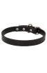 1 Inch Wide Dog Collar with Thick Heavy Smooth Leather