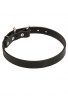 1 Inch Wide Dog Collar with Thick Heavy Smooth Leather