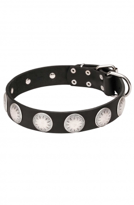 Trendy Leather Collar for Large Dog Breeds Decorated with Like-silver Plates