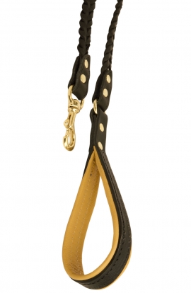 Fashion Braided Leather Dog Leash with Padded Handle