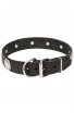 Trendy Leather Collar for Large Dog Breeds Decorated with Like-silver Plates