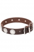 Trendy Leather Collar for Large Dog Breeds Decorated with Like-silver Plates
