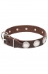 Trendy Leather Collar for Large Dog Breeds Decorated with Like-silver Plates