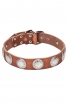 Trendy Leather Collar for Large Dog Breeds Decorated with Like-silver Plates