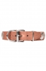 Trendy Leather Collar for Large Dog Breeds Decorated with Like-silver Plates