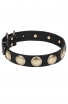 Stylish Leather Collar for Strong Dogs with Large Brass Circles