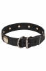 Stylish Leather Collar for Strong Dogs with Large Brass Circles