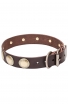 Stylish Leather Collar for Strong Dogs with Large Brass Circles