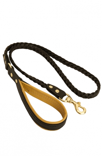 Fashion Braided Leather Dog Leash with Padded Handle