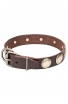 Stylish Leather Collar for Strong Dogs with Large Brass Circles