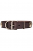 Stylish Leather Collar for Strong Dogs with Large Brass Circles