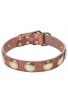 Stylish Leather Collar for Strong Dogs with Large Brass Circles